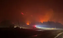 Bursa Karacabey'de orman yangını! Rüzgarın etkisiyle büyüyor