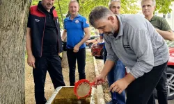 Bursa'nın su kaynaklarına 2,2 milyon sazan balığı bırakılacak