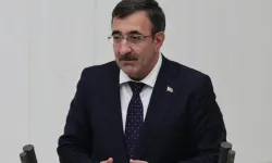 Cevdet Yılmaz'dan enflasyon yorumu