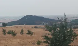 Keşan Sivritepe’ye fidan dikimi müjdesi... 11 Kasım’da yeşillenecek