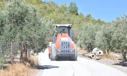 Manisa’da hasat öncesi yol seferberliği