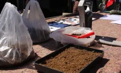 23 bin dekarlık tarım arazisine destek