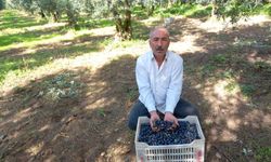 CHP’li Eşiyok’tan Marmarabirlik’e sert tepki