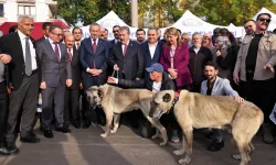 Ankara Keçiören'de 'Sivas Günleri' coşkusu
