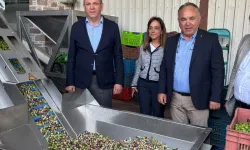 Ayvalık Ticaret Odası: Zeytinyağı ihracatında en büyük sorun markasızlık