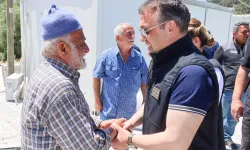 Bilecik'te yangın yaraları sarılıyor