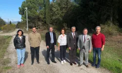 Bursa tarımına akademik bakış
