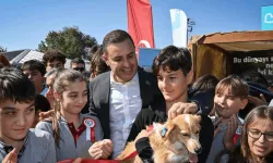 Can dostlara modern yaşam alanı