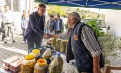 İzmir Torbalı'da zeytinle buluşma