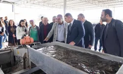 İzmir'de sezonun ilk zeytinyağı Başkan Tugay'dan
