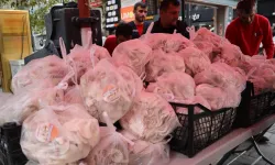 Kocaeli İzmit Belediyesi, kendi ürettiği mantarları vatandaşa dağıttı