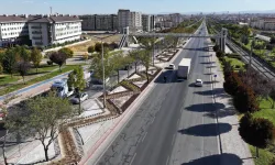 Konya'da kurakçıl peyzajla su ve enerji tasarrufu sağlanacak