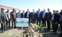 Konya'dan yerli tohum devrimi!