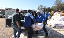 Muğla'dan kırsal kalkınmaya 330 tonluk 'Büyük' destek