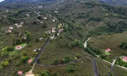 Ordu Büyükşehir'den Ulubey'e konforlu ulaşım