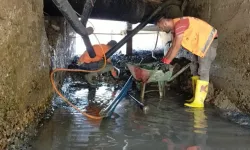 Ordu Fatsa'da tarihi temizlik seferberliği