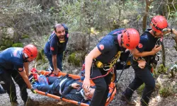 Terapi Ormanı'nda kurtarma operasyonu! Dağlık arazide yürüyüş yapınca: