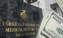 Türkiye'de cari işlemler Ağustos'ta 5,5 milyar dolar fazla verdi... Yıllık cari açık 18,3 milyar dolar!