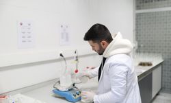 Bursa Gemlik Belediyesi’nden Zeytinciye Bilimsel Destek