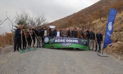 Ali Dağı'nın zirvesine bin 111 fidan