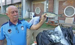 Antalya Büyükşehir zabıtasından otogarda usulsüz taşımacılığa operasyon