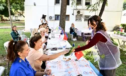 Antalya Muratpaşa'da mikro yeşilliklerle minyatür bahçeler