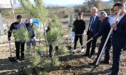 Bursa İnegöllü gençler 32 fidanı toprakla buluşturdu
