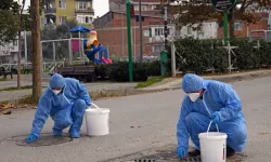 Bursa Osmangazi'de kemirgenlere yönelik mücadele