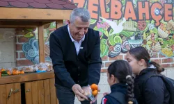 Dalında kalan mandalina halkla buluştu