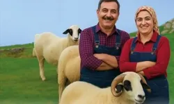 Denizli Büyükşehir'den üreticiye koyun ve koç desteği