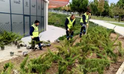 Dilovası Millet Bahçesi'nde dip köşe temizliği