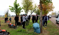 Diyarbakır'da üniversite öğrencileri sahada budama tekniklerini uygulamalı öğrendi