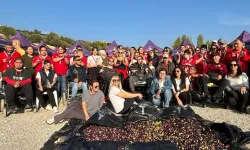 Engelli yurttaşlar zeytin hasadında buluştu