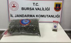 İnegöl'de Jandarma Samanlıkta Esrar ve Tohum Ele Geçirdi
