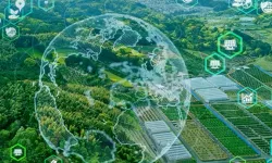 İklim değişikliğiyle mücadele için kritik adım... 6 yeni 'Mevcut En İyi Teknikler' tebliği Resmi Gazete'de