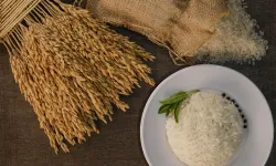 İpsala Pirinci'ne AB tescili... Trakya'nın ilk ve tek AB coğrafi işaretli ürünü