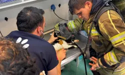 İzmir'de itfaiyeden can dostlara kahramanca müdahale