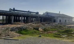 İzmit'ten sokak hayvanlarına modern yaşam alanı