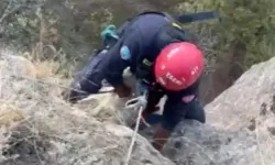 Kayseri Büyükşehir itfaiyesi mahsur kalan keçiyi kurtardı