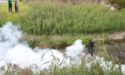 Kocaeli'de sinekle mücadele dört mevsim hız kesmiyor