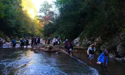 Kuzeyin tabiat harikasında unutulmaz sonbahar yürüyüşü