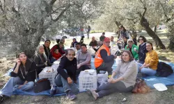 Mudanya'da birlikte zeytin topladılar