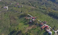 Ordu Ünye'de yol konforu artıyor