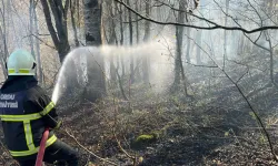 Ordu'da bir haftada 40 yangın alarmı