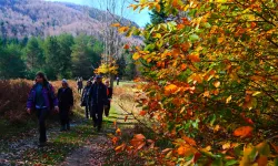 Sakarya'da doğa yürüyüşlerinde sonbahar coşkusu