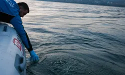 Sapanca Gölü'ndeki su kabarcıkları endişelendirdi! Herhangi bir olumsuzluk yok!