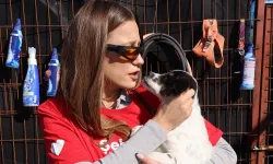 Serenay Sarıkaya'dan 'can dostlar' için özel mesai