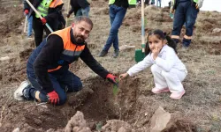 Sivas'ta Muhsin Yazıcıoğlu Vefa Ormanı'na 58 bin fidan