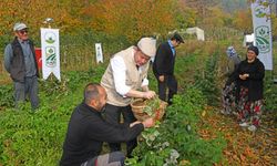 Bursa Osmangazi’de İlk Hasat Başkan Aydın’dan