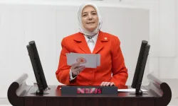 AK Partili Yavuz Gözgeç: Bütçemizin istikameti Türkiye Yüzyılı'dır